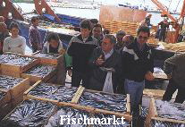 Ferienwohnung-Spanien.net